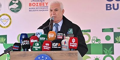 Büyükşehir’den çiftçiye 1 milyon 222 bin adet çilek fidesi