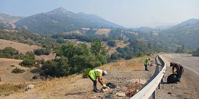 Büyükşehir'den yangın bölgelerinde çevre temizliği