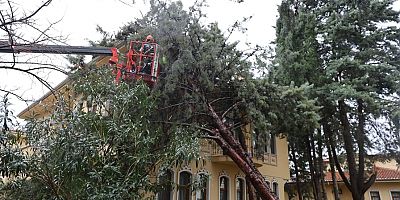 Büyükşehir ekipleri, şiddetli rüzgara karşı sahada