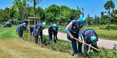 Büyükşehir ile parklar yaza hazır