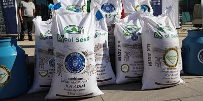 Büyükşehir ile tarlalar bereketleniyor