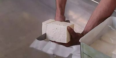 Büyükşehir öncülük etti, sorgun peyniri de tescillendi