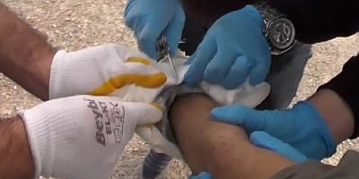 Büyükşehirleri kana bulayacaktı... Böyle yakalandı