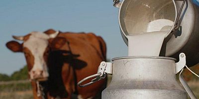 Çiğ süte bir zam daha geldi