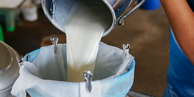 Çiğ süte zam geliyor! 1 Mayıs'tan itibaren geçerli olacak