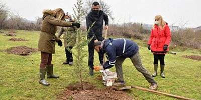 Daha yeşil Yıldırım için fidanlar toprakla buluşuyor