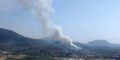 Dalaman'da orman yangını başladı!