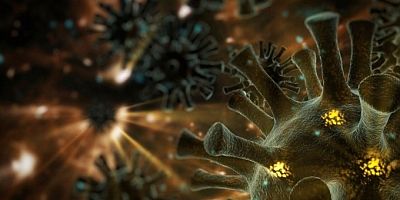 Delta varyantı nasıl bu kadar bulaşıcı?