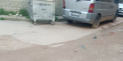 Demirtaş Barbaros Mahallesi 436. Sokak’ta asfalt yok, mahalle mağdur!