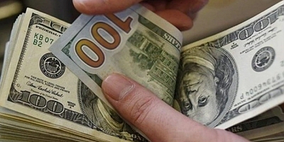 Dolar 29 TL'ye dayandı!