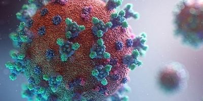 Dünyada yeni virüs alarmı: Hızla yayılıyor!