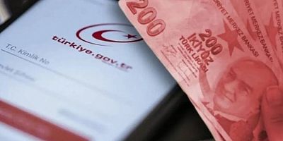 e-Devlet'ini kontrol etmeyenler kaybediyor: Paralar devlete iade ediliyor!