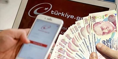 e-Devlet'ten bomba bir hizmet daha! Milyonlar aynı ekrana akın ediyor