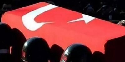 Edirne'de askeri araç tarlaya devrildi: 1 asker şehit oldu