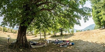 'En tembel vatandaş' aranıyor