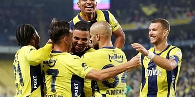 Fenerbahçe''de üzen sakatlık
