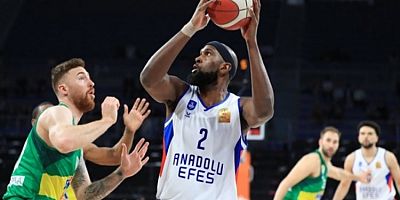 Frutti Extra Bursaspor, Anadolu Efes'e mağlup oldu