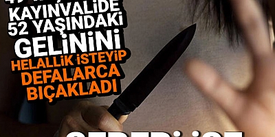 Helallik isteyip 5 kez bıçakladı... Sebebi şoke etti!