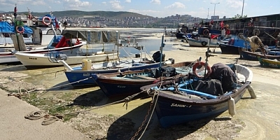 Gemlik Körfezi deniz salyası nedeniyle açık renkte tabakayla kaplandı