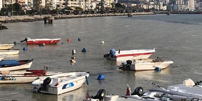 Gemlik Sahilinde şaşkına çeviren görüntü!