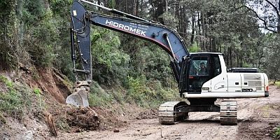 Gemlik'te Patili Canlar Yeni Yuvalarına Kavuşuyor