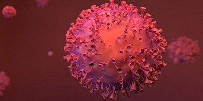 Gizli rapor sızdı! 'Daha kötü olacak'