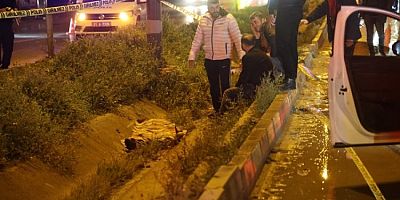 Hatay'da yolun karşısına geçmek istemişti hayatını kaybetti!