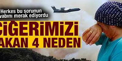 Herkes bu sorunun cevabını merak ediyordu! Ciğerlerimizi yakan 4 neden