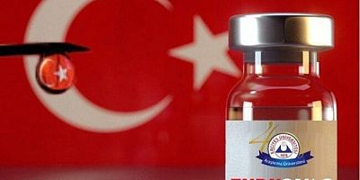 Herkesin sorduğu soru: Turkovac mı Sinovac mı?