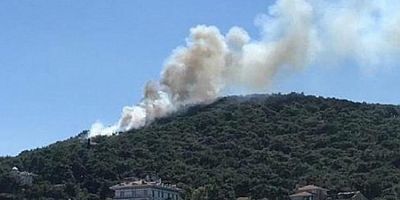 Heybeliada'da ormanlık alanda yangın