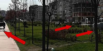 İllallah Ettik!