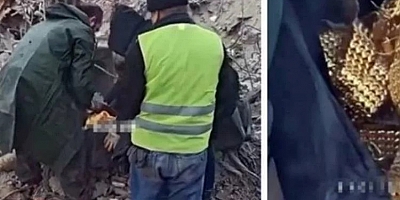 Kahramanmaraş'ta enkazdan çıkan 78 kilo altın dolu çantanın sahibi belli oldu!