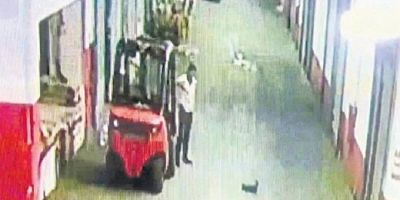 Kediyi öldüren caniye 10 yıl hapis istendi