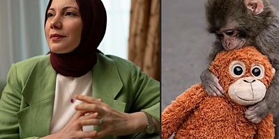 Korktuğumuzda Nereye Sarılırız? Makak Punch ve Güven Arayışı