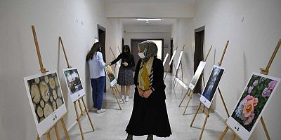 Kursiyerler fotoğraflarını sergiledi