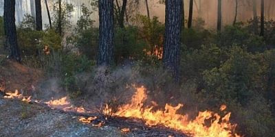 Marmaris'teki orman yangınında son durum! Karayolu ulaşıma kapatıldı