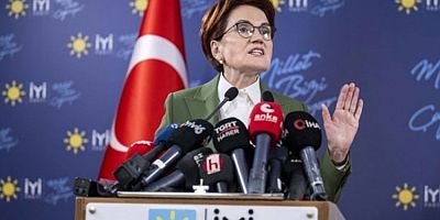 Meral Akşener tepkileri dünya basınında