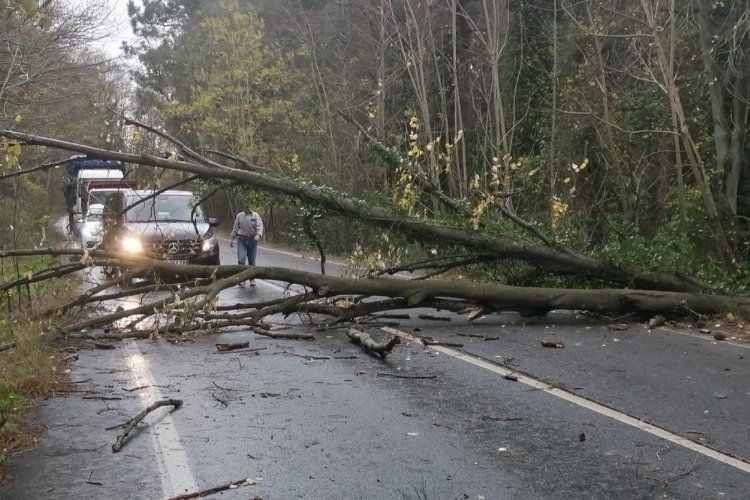 Bursa'ya fırtına uyarısı!