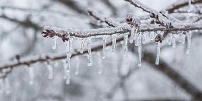 Meteoroloji'den Bursa ve çevresi için zirai don uyarısı
