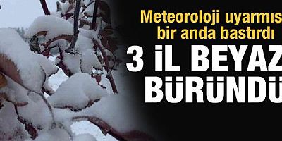 Meteoroloji'den kar uyarısı gelmişti! 3 il beyaza büründü