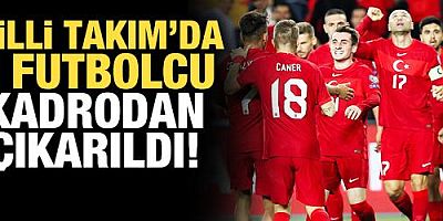 Milli Takım'da 2 isim kadrodan çıkarıldı!
