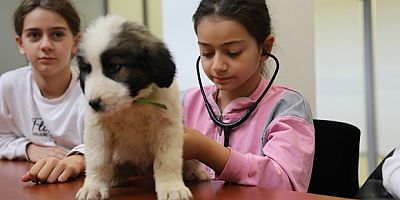 Minik veterinerler görev başında