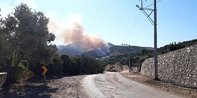 Mudanya'da çıkan orman yangını kontrol altına alındı