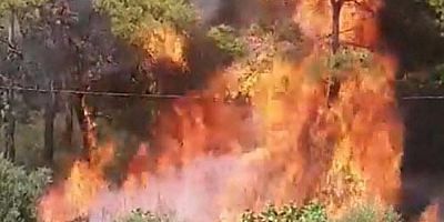 Muğla'daki orman yangının çıkış anında şüpheli bir araç kameraya yansıdı