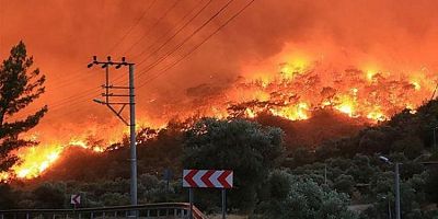 Orman yangınlarında il il son durum! Bakanlık tabloyu paylaştı