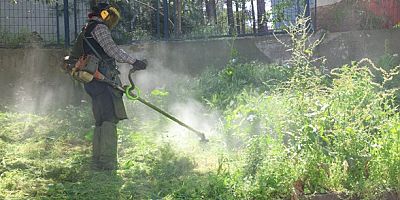 Osmangazi Belediyesi’nden çevreye bahar dokunuşu