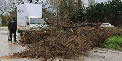 Osmangazi Belediyesi’nden Lodosa Karşı Etkin Müdahale