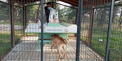 Osmangazi'de Can Dostlar Emin Ellerde