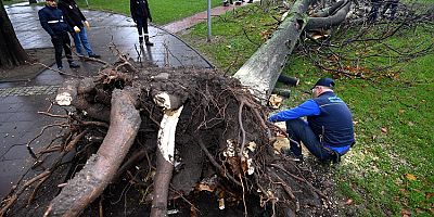 Osmangazi’de lodosun etkileri temizleniyor