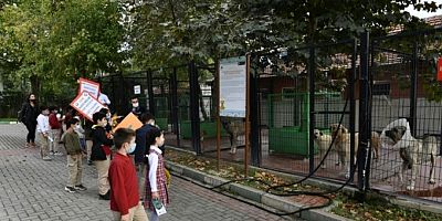 Osmangazi'den Hayvanları Koruma Günü etkinliği